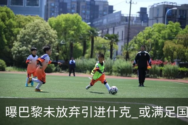 曝巴黎未放弃引进什克 或满足国米7000万欧要求